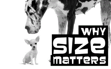Why Size Matters